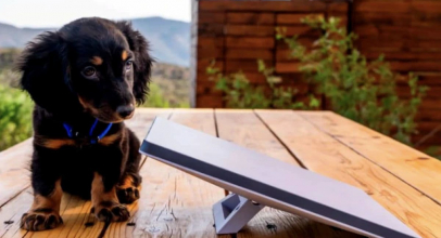 Starlink: спутниковый интернет, обеспечивающий Украине связь там, где другие технологии не работают