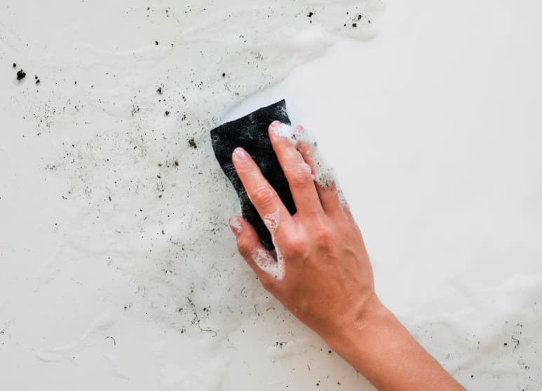 Як вивести грибок (плісняву) зі стін: ефективні способи для різних поверхонь
