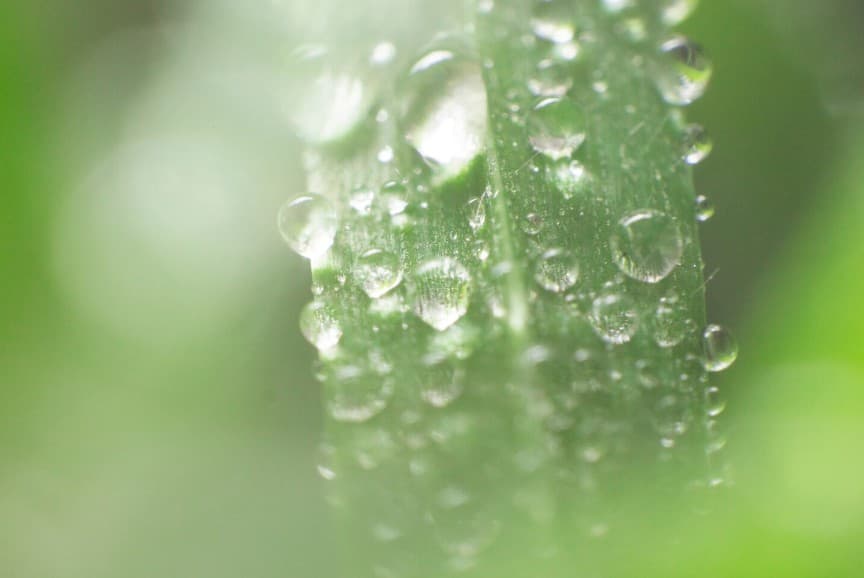 Польза увлажнителя воздуха для здоровья и дома | Фото 2