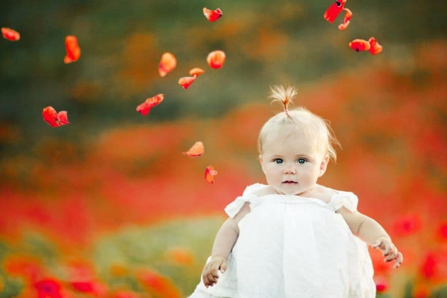 Маленька дівчинка на маковому полі Маленька дівчинка на маковому полі