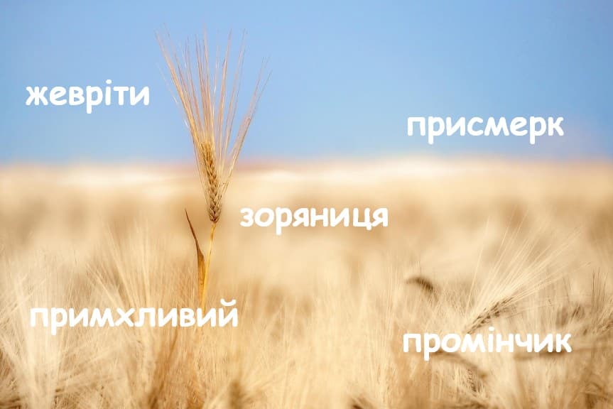 Интересные украинские слова