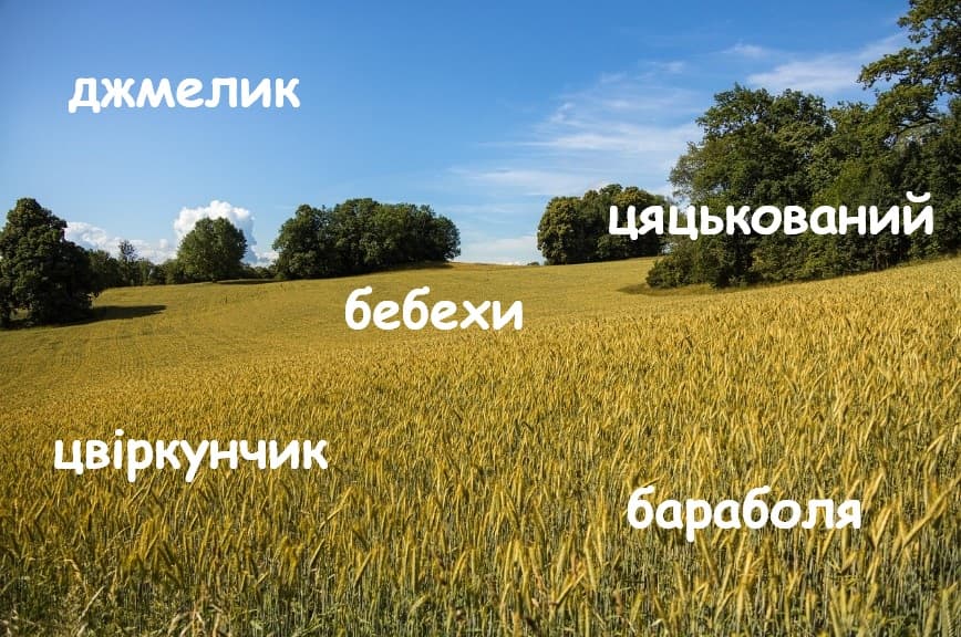 Смешные слова на украинском языке